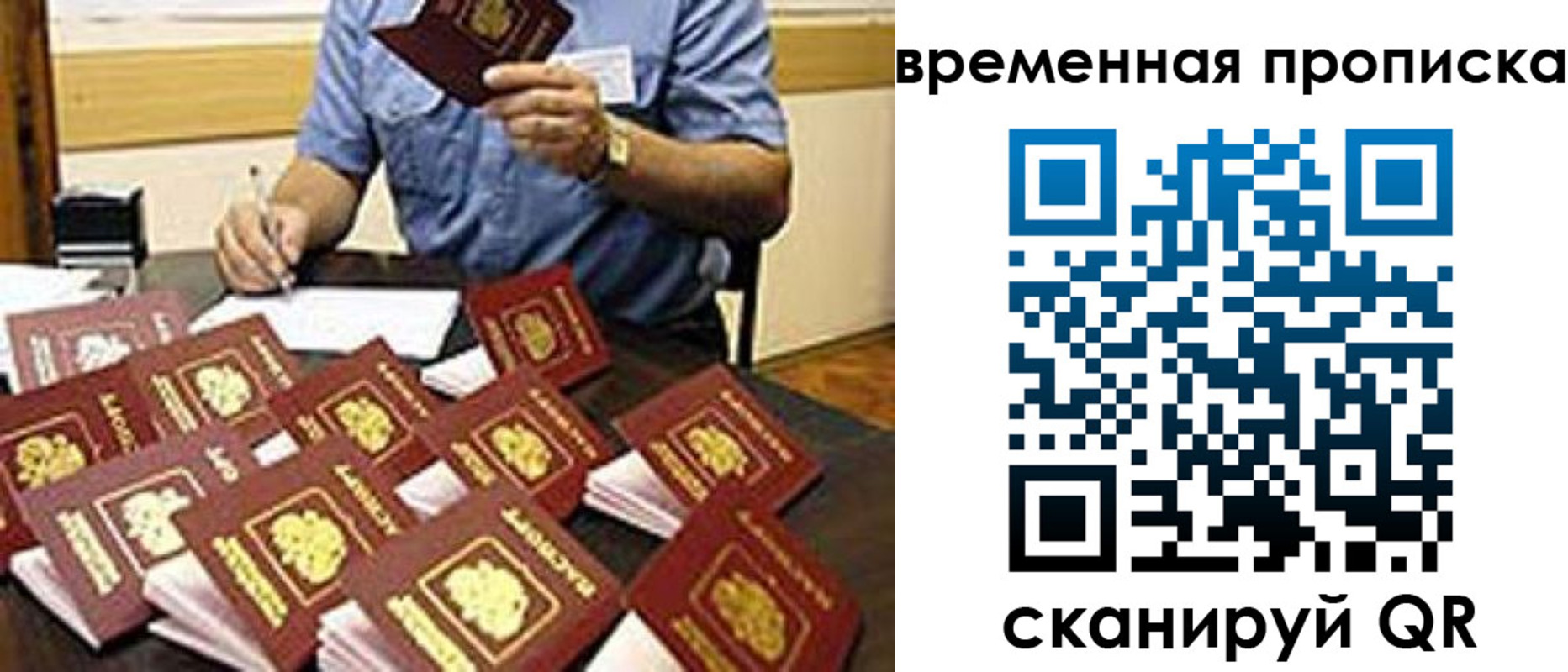 прописка для школы в Кургане